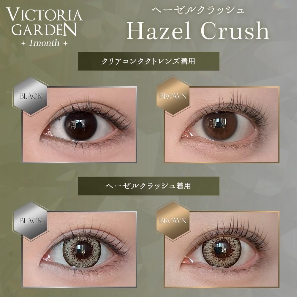 2盒$248｜日本Victoria Garden Hazel Crush系列月拋2片裝