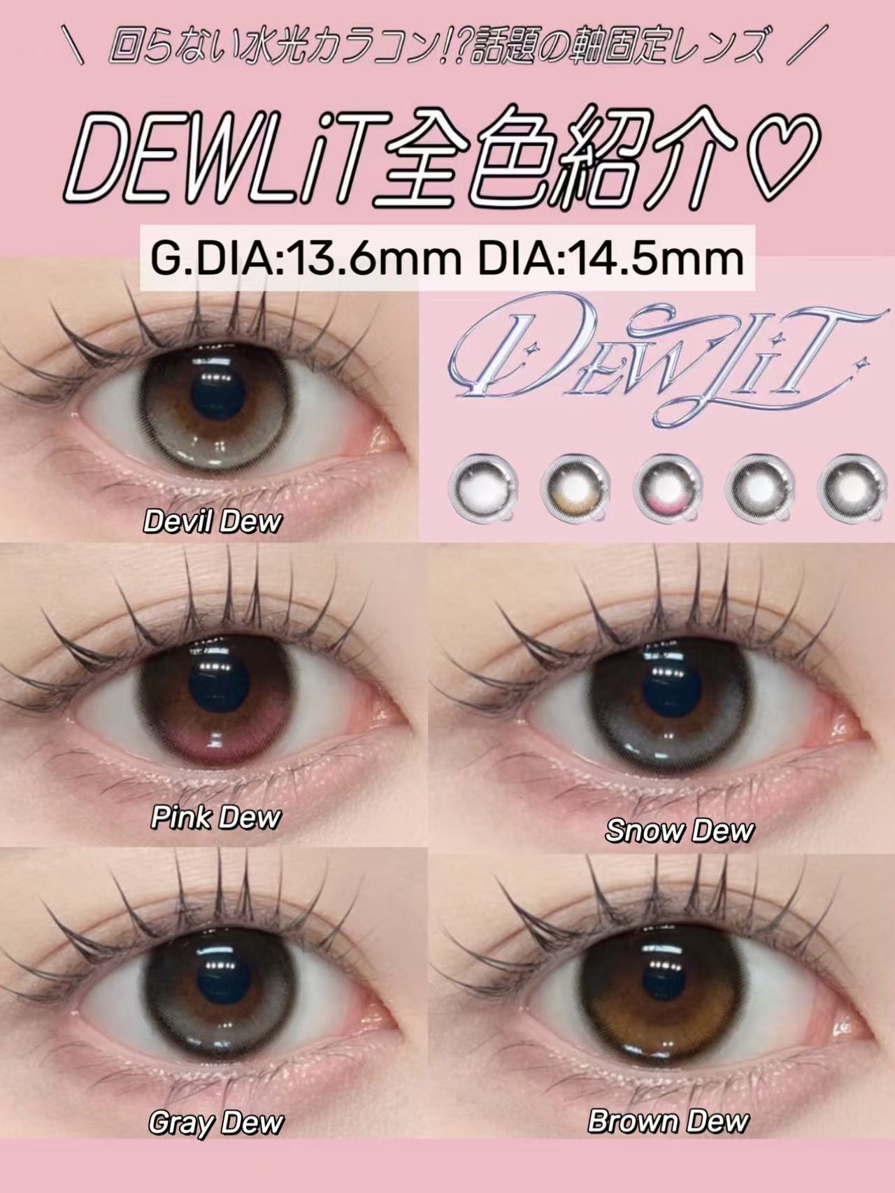 <2盒$250>｜日本Dewlit高光固定軸日拋10片裝