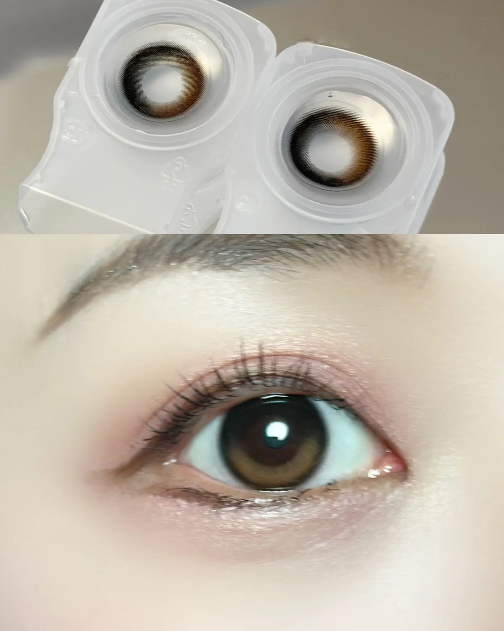 2盒$248<固定軸>｜日本Dewlit Brown Dew月拋片裝