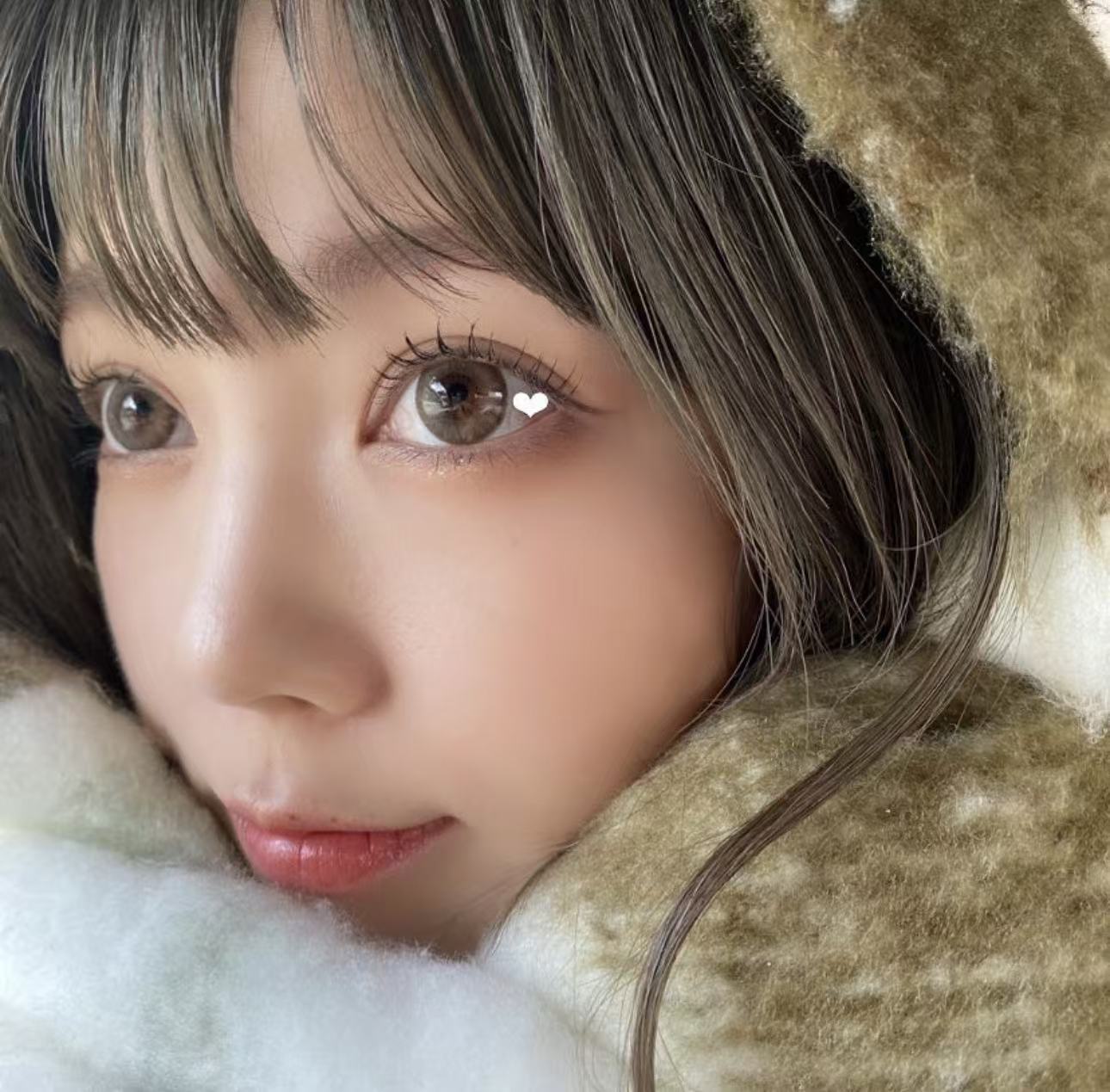 4盒$399｜日本Flurry Pearl Light Brown日拋10片裝