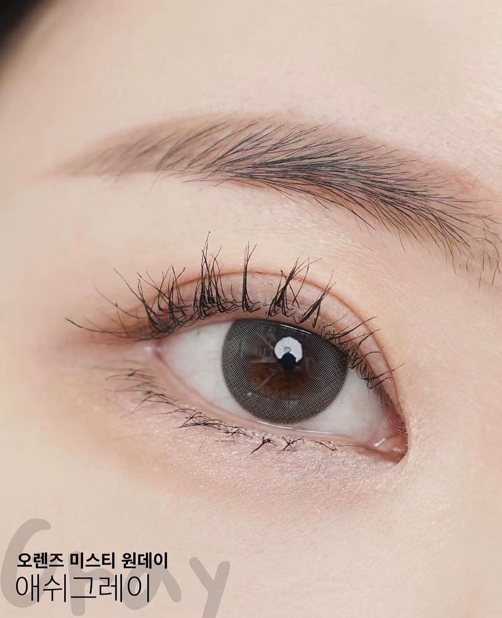 <2盒$318>｜韓國Olens Misty Ash Gray日拋20片裝