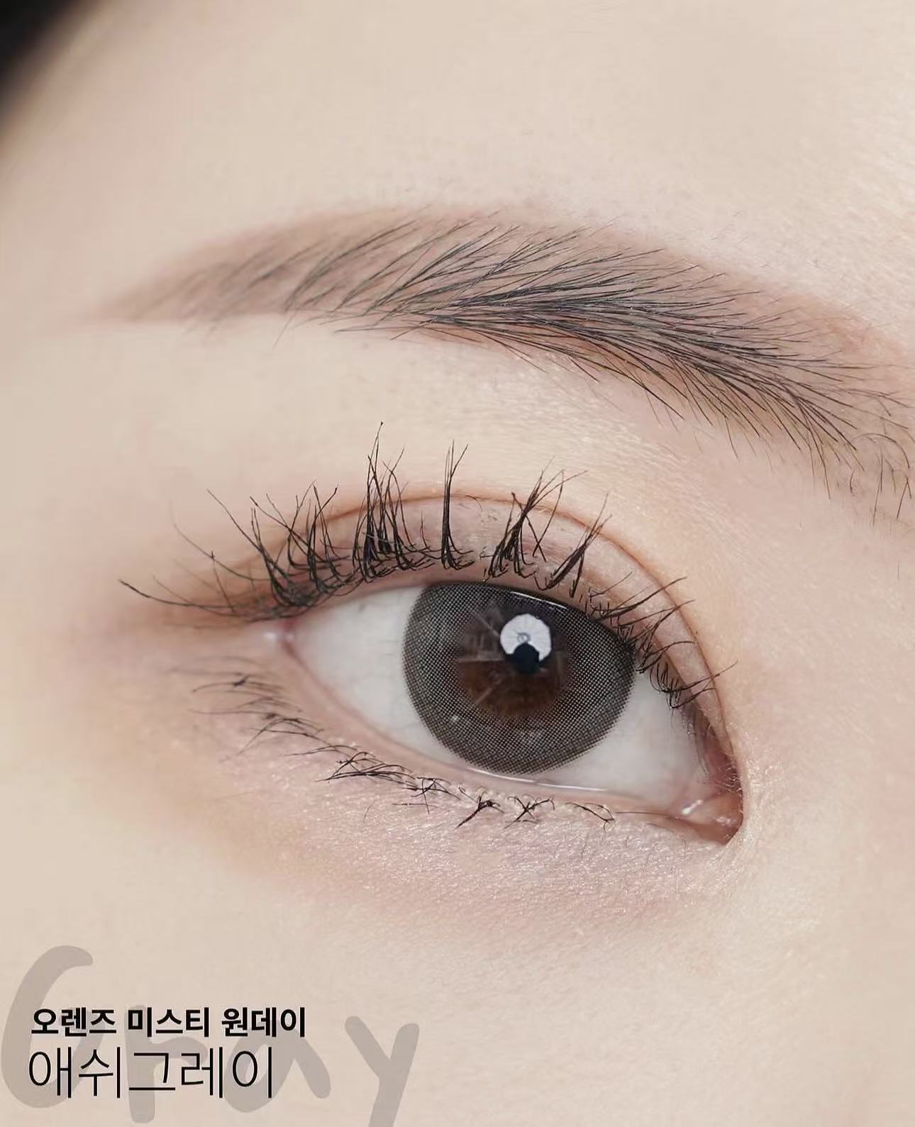 <2盒$318>｜韓國Olens Misty Ash Gray日拋20片裝