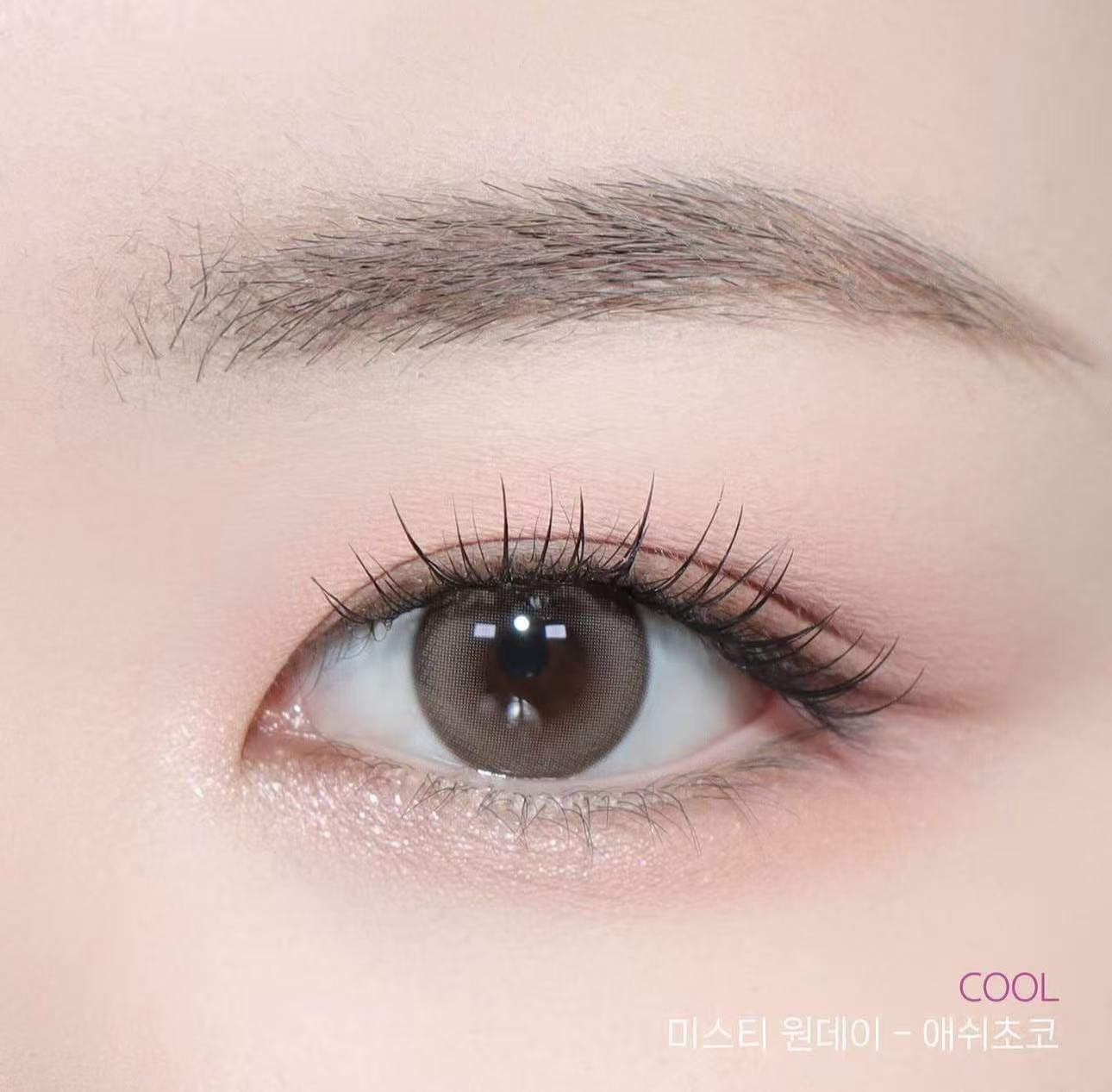 <2盒$318>｜韓國Olens Misty Ash Choco日拋20片裝
