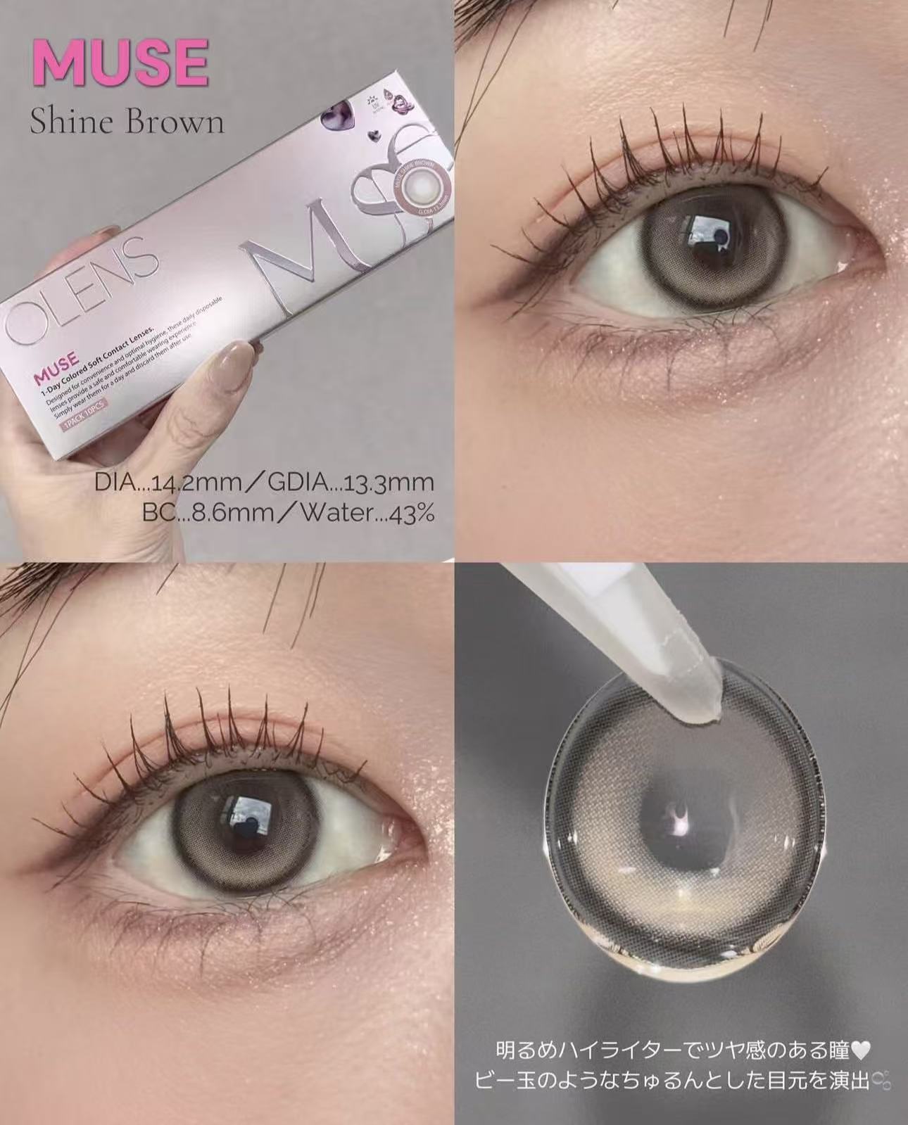 現貨｜Olens Muse Shine Brown日拋10片裝