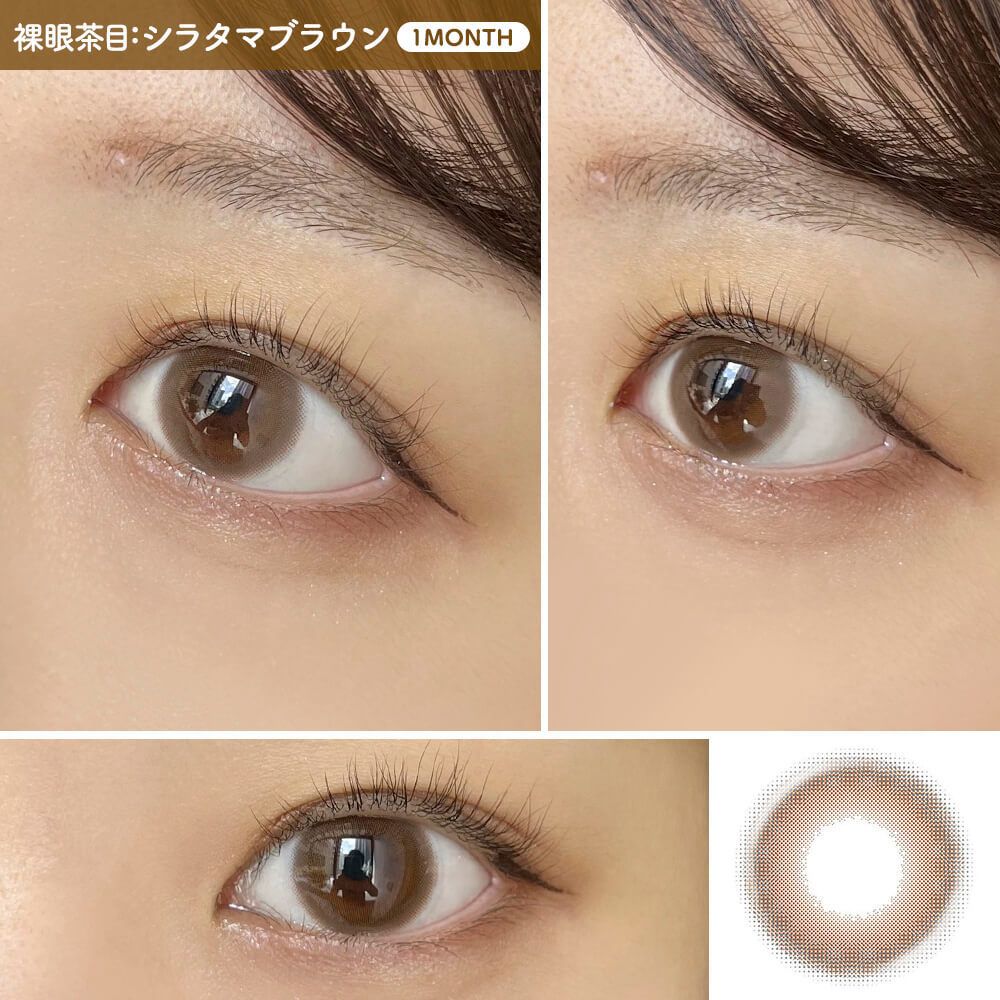 2盒$248｜日本Eye Closet AQUA系列Shiratama Brown月拋2片裝