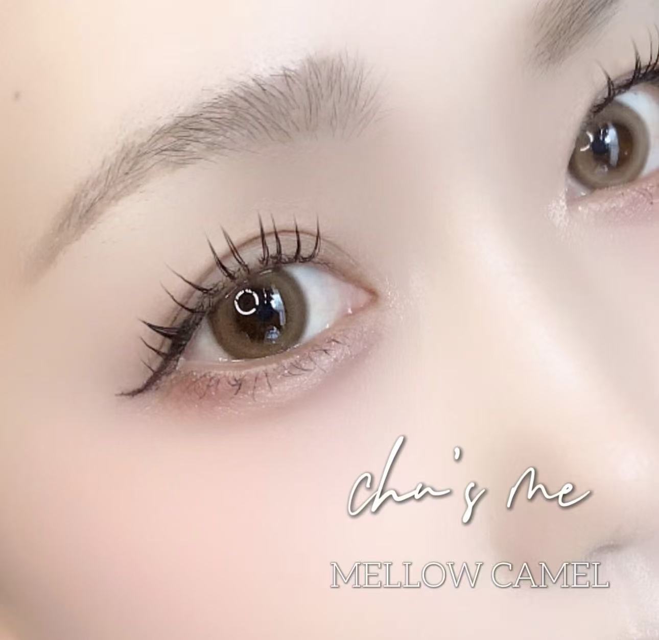日本Chusme Mellow Camel月拋2片裝