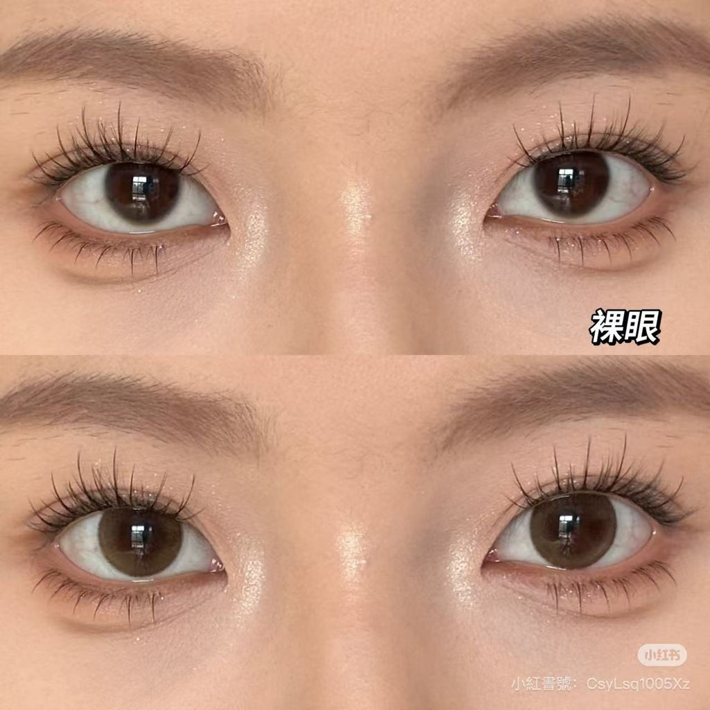 2盒$250｜日本Chusme Moist Brown日拋10片裝