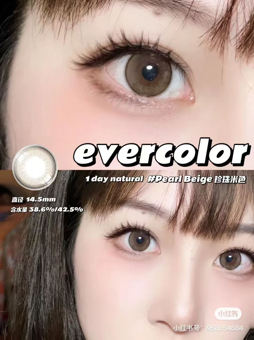 日本Evercolor Pearl Beige散光日拋20片裝