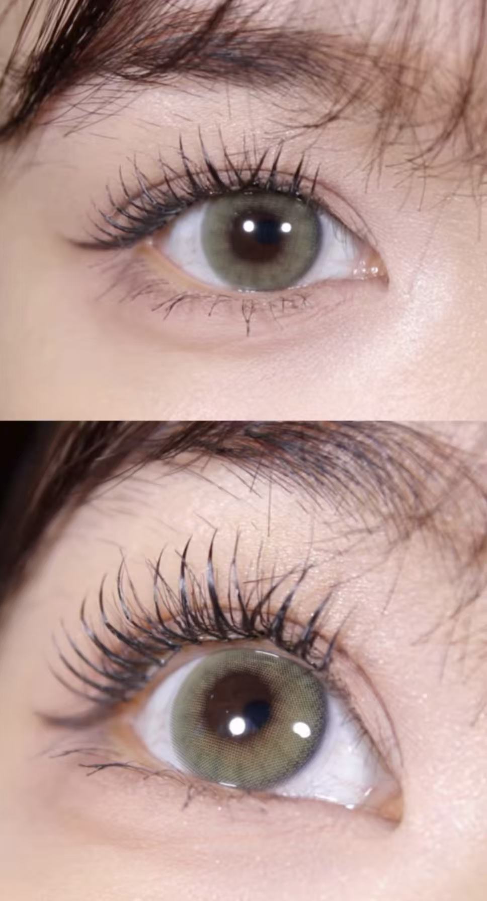 <2盒$218>｜韓國Olens French Shine Olive日拋10片裝
