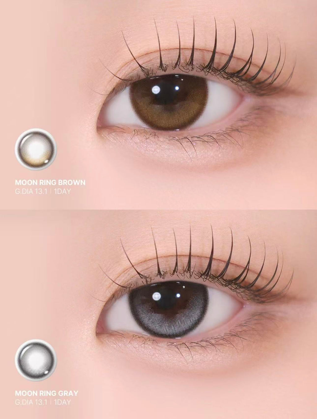 <2盒$280>｜韓國Davich Moonring Brown日拋30片裝