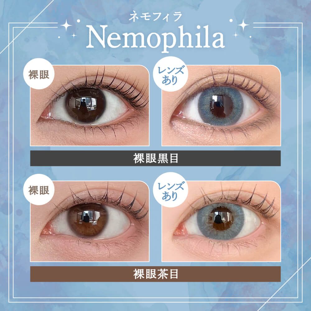 2盒$248｜日本Rain Nemophila系列月拋2片裝