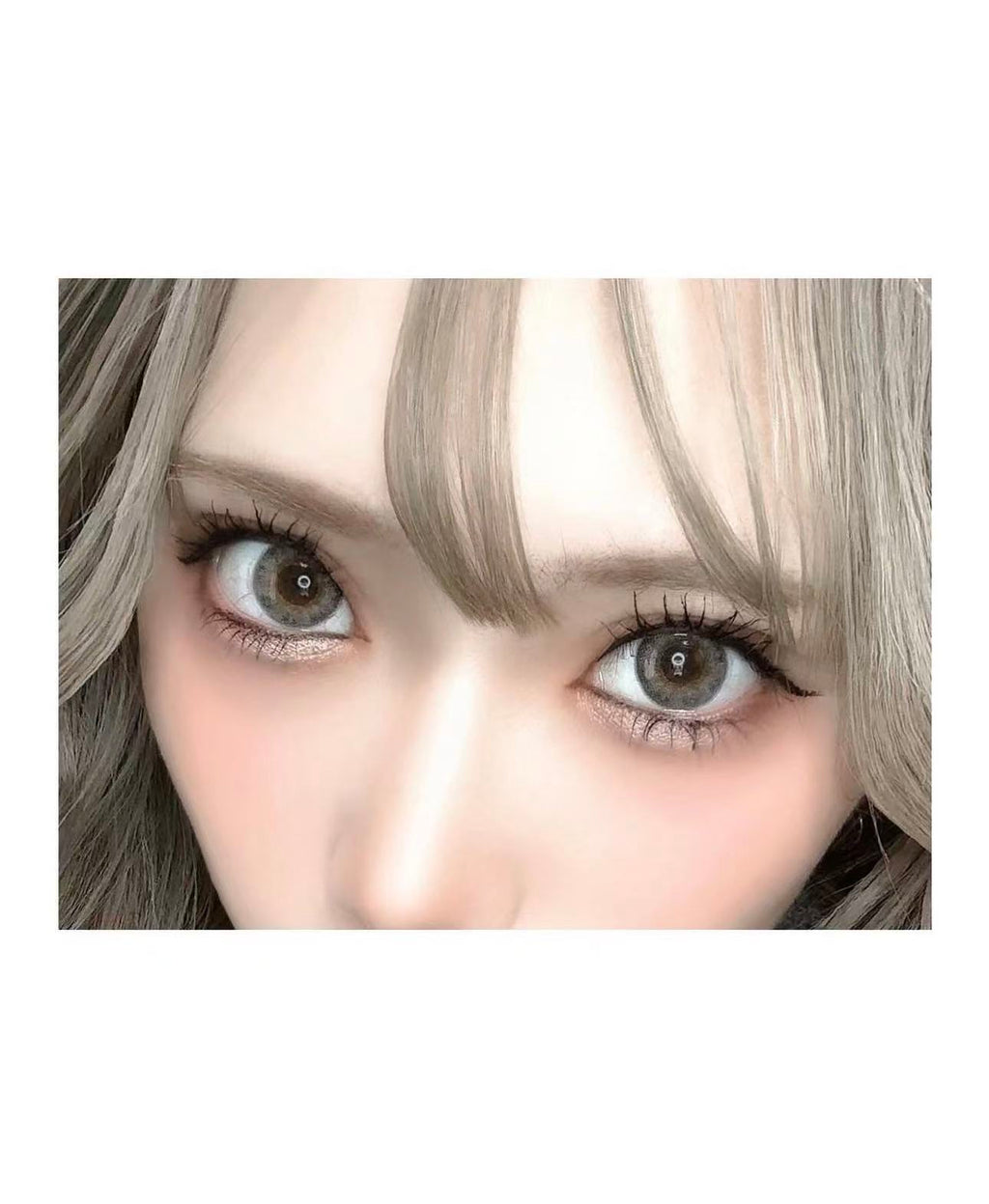 日本N’s Collection Lassie Neo日拋10片裝