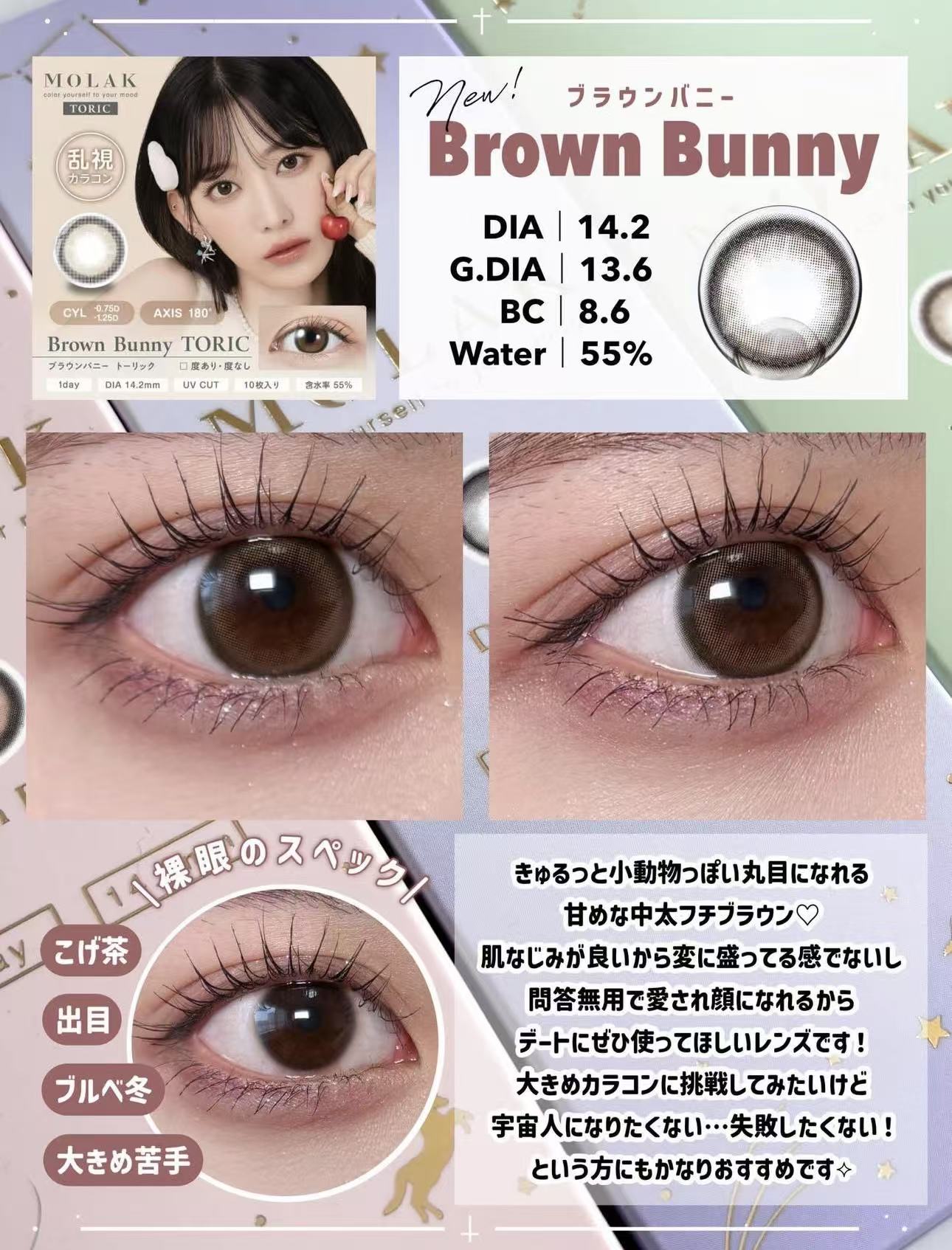 散光日拋｜日本Molak散光日拋