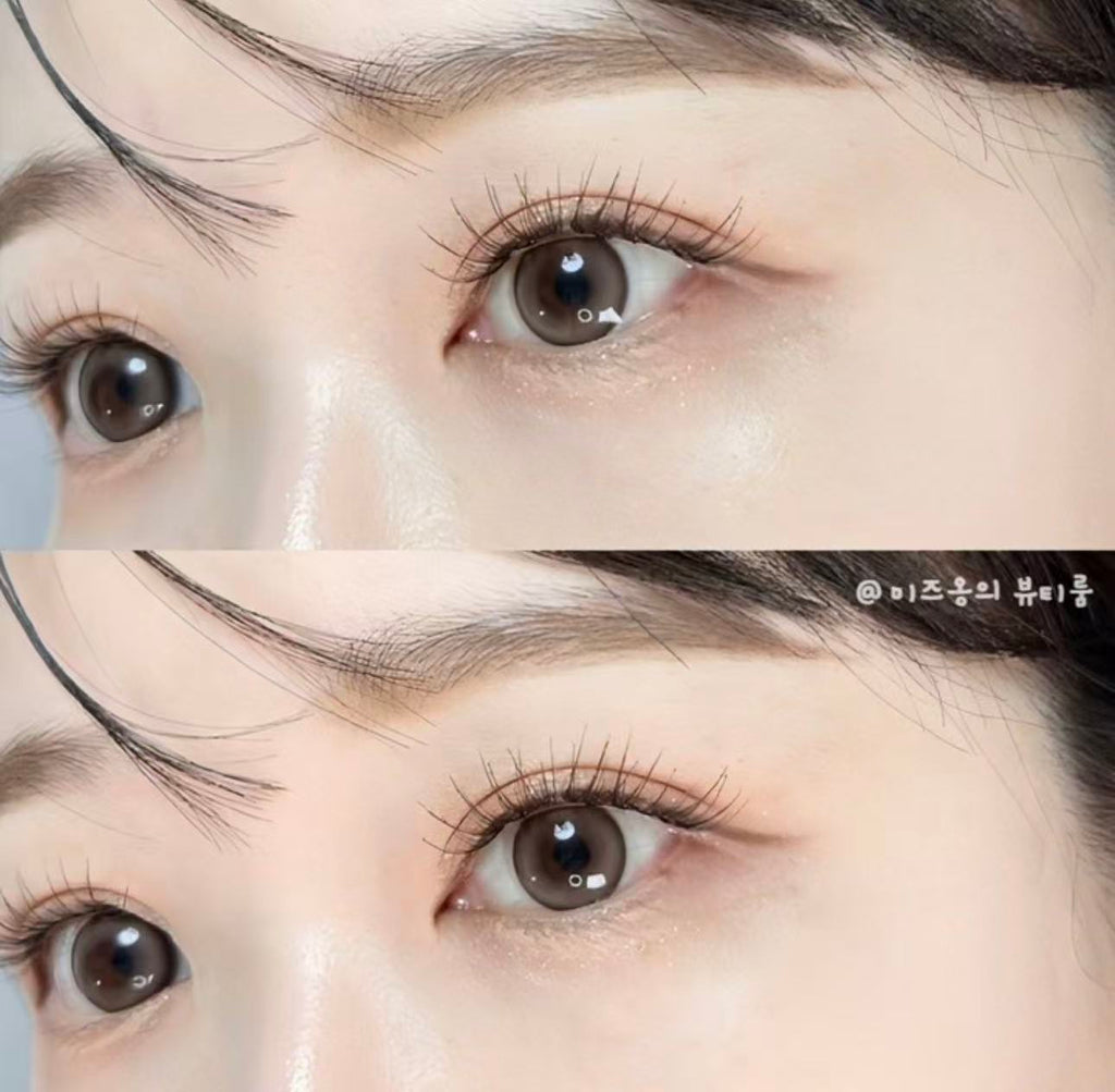 <2盒$318>｜韓國Olens Misty Ash Choco日拋20片裝