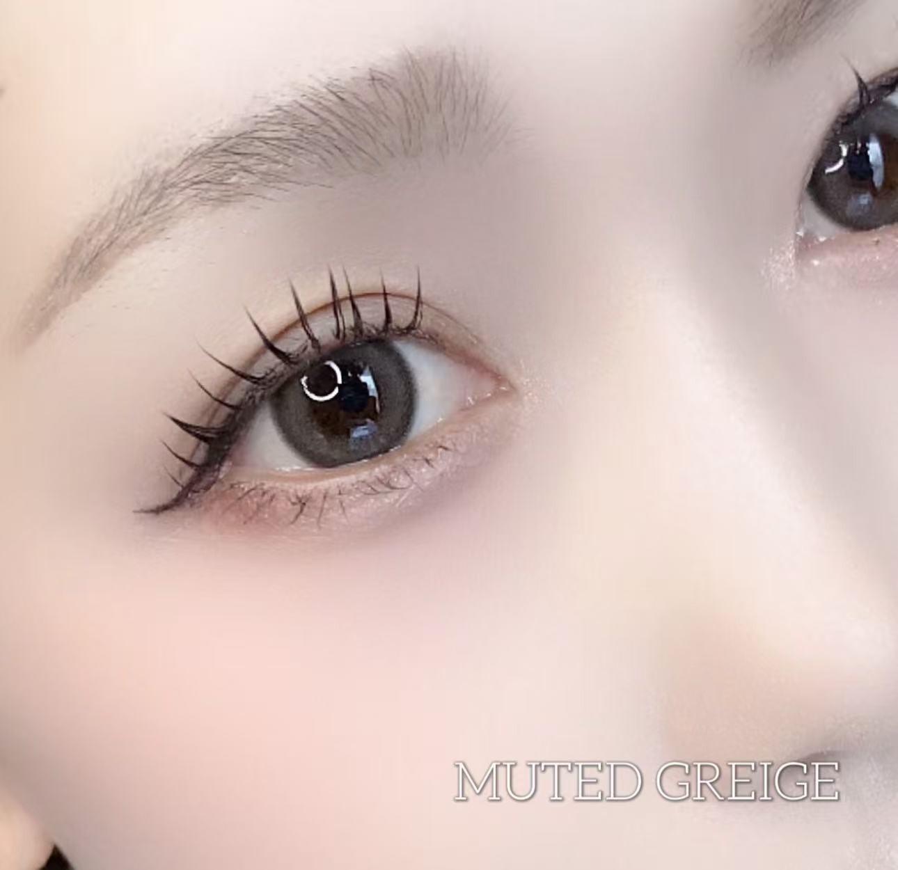 日本Chusme Muted Greige月拋2片裝