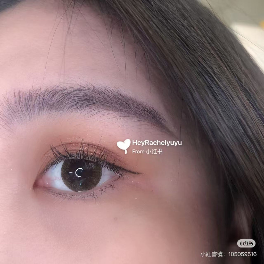 韓國Clalen Iris Latin Brown日拋40片裝