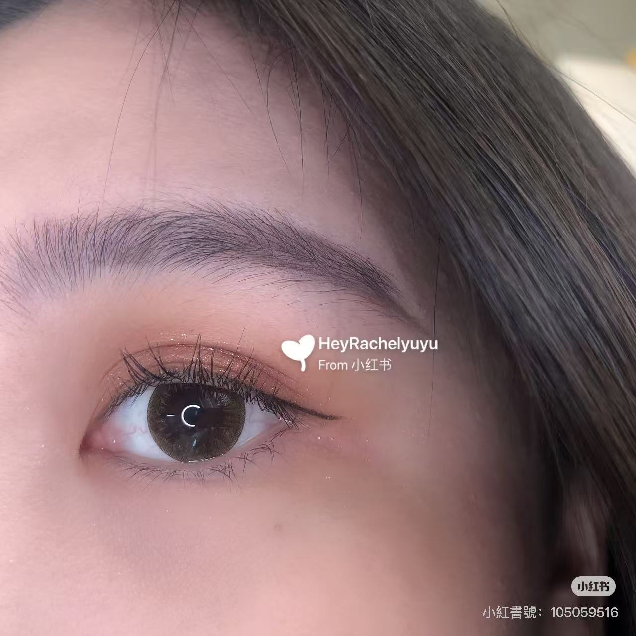 韓國Clalen Iris Latin Brown日拋40片裝
