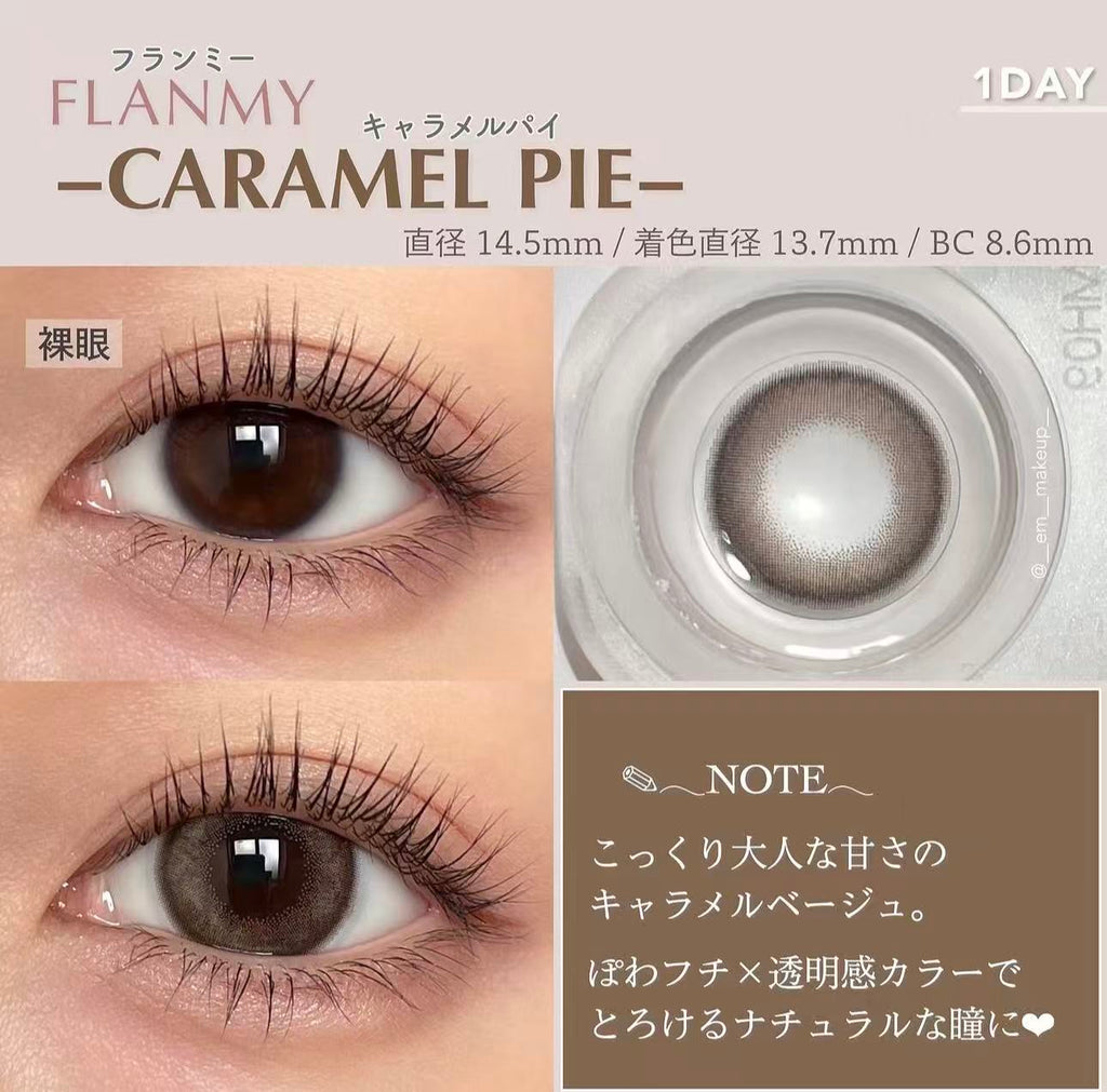 2盒$230｜日本Flanmy Caramel Pie日拋10片裝