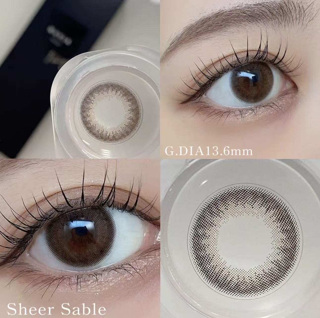 雙軸位高散光日拋｜日本Revia散光日拋10片裝（黑盒）