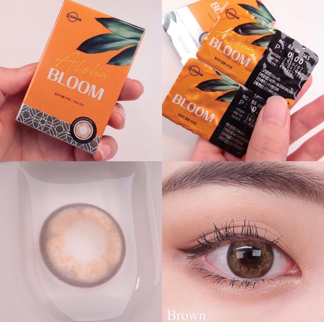 現貨325度無盒｜Lensme Aloha Bloom Brown月拋