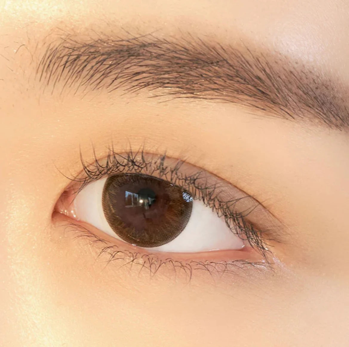 現貨700度｜Clalen Iris Soul Brown散裝日拋10片（無盒）