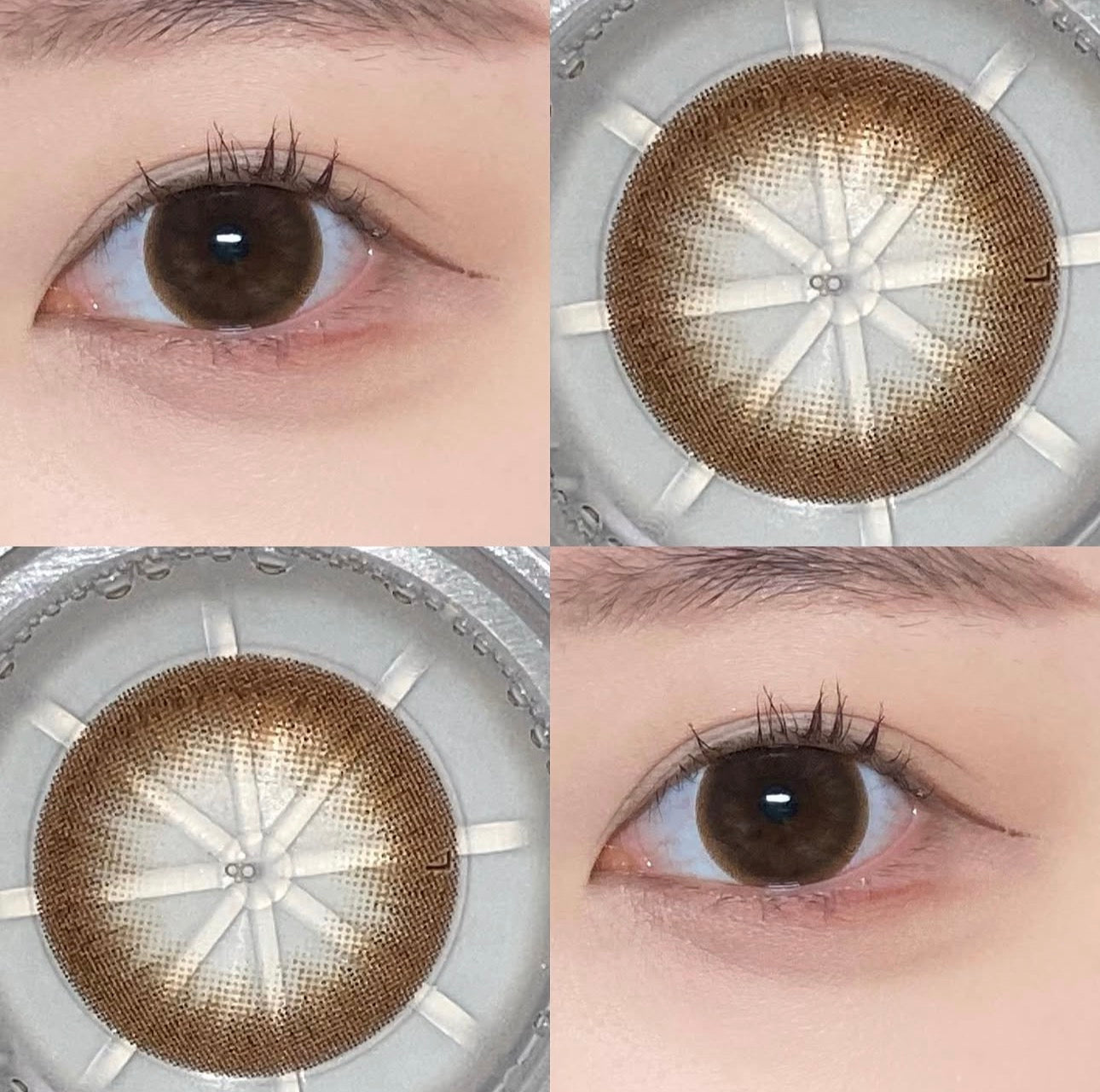 4盒$636｜韓國Lensme Grande Choco Brown日拋30片裝