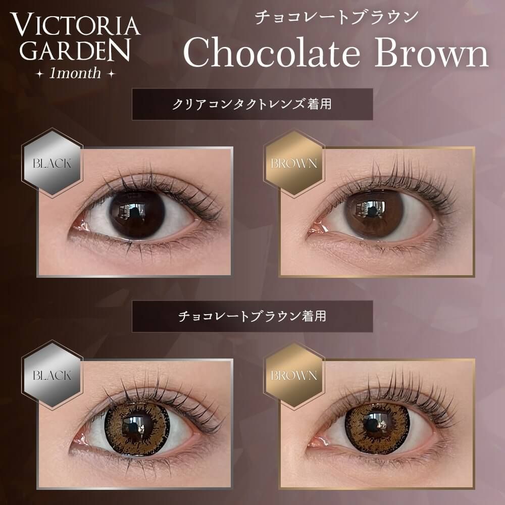 2盒$248｜日本Victoria Garden Chocolate Brown系列月拋2片裝