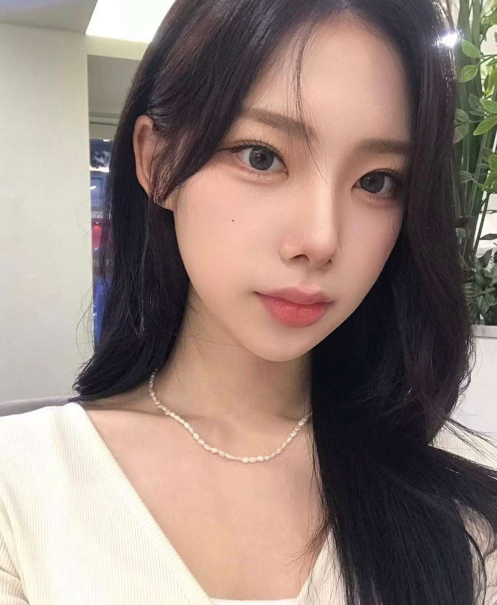 <2盒$318>｜韓國Olens Misty Ash Gray日拋20片裝