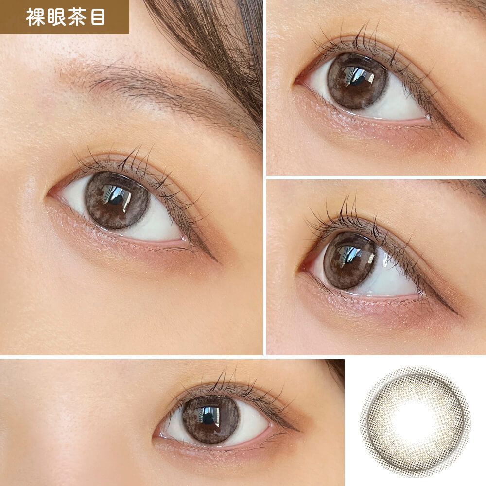 2盒$248｜日本Miium Shell Racco月拋2片裝