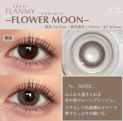 2盒$230｜日本Flanmy Shell Flower Moon日拋10片裝