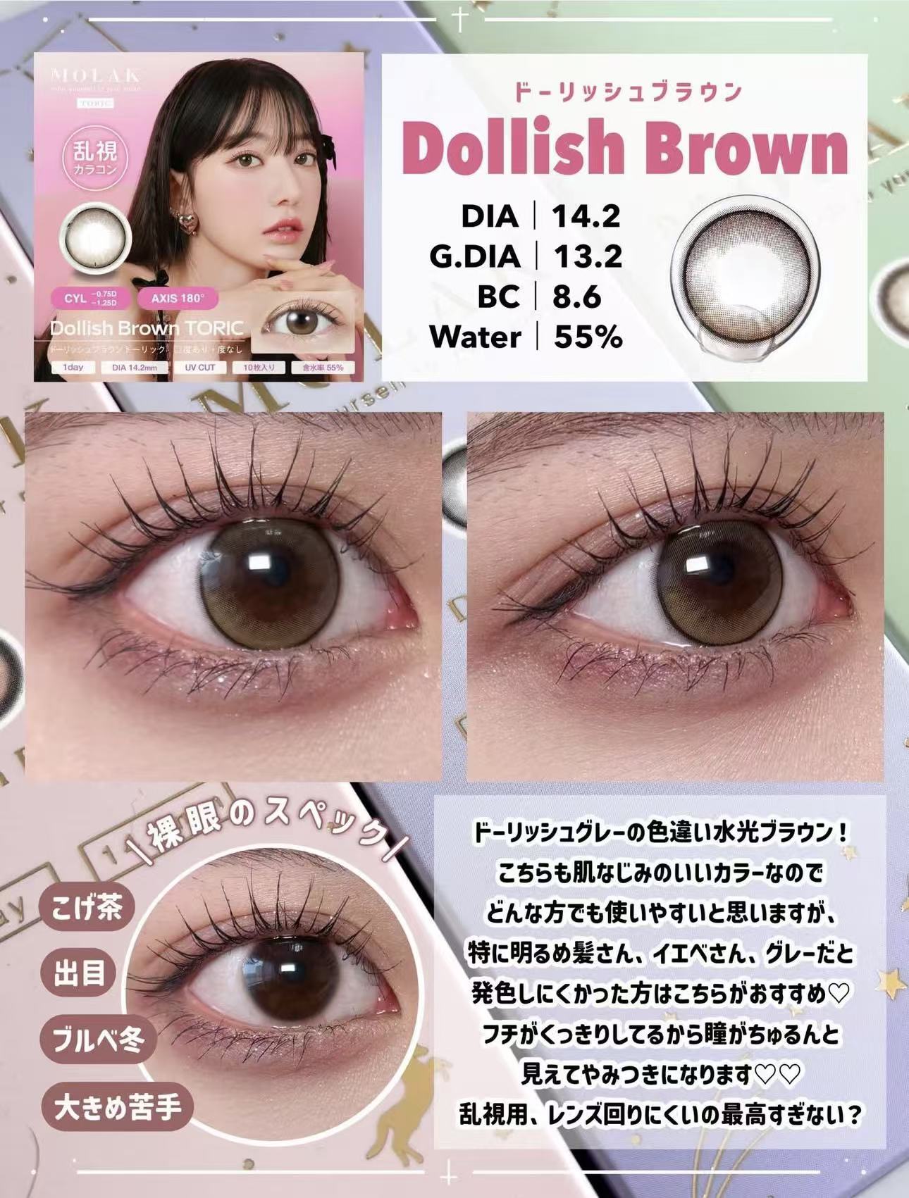 散光日拋｜日本Molak散光日拋