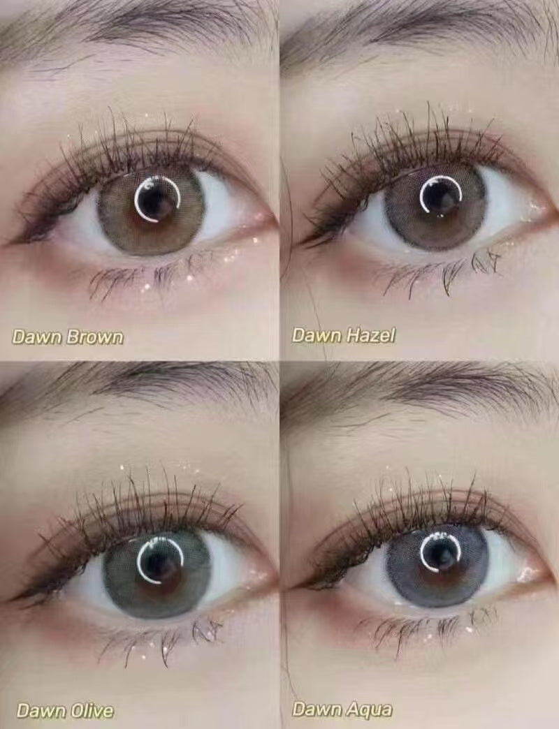 <4盒$920>｜日本Barrieyes日拋30片裝