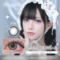 3盒$345｜日本Honey Kiss Chulun Gray Pearl日拋10片裝