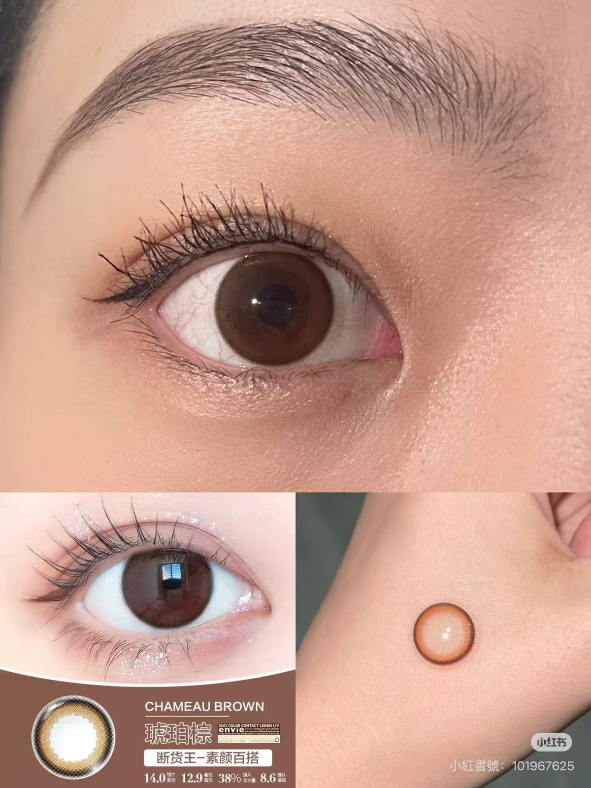 4盒$899｜日本Envie Chameau Brown日拋30片裝