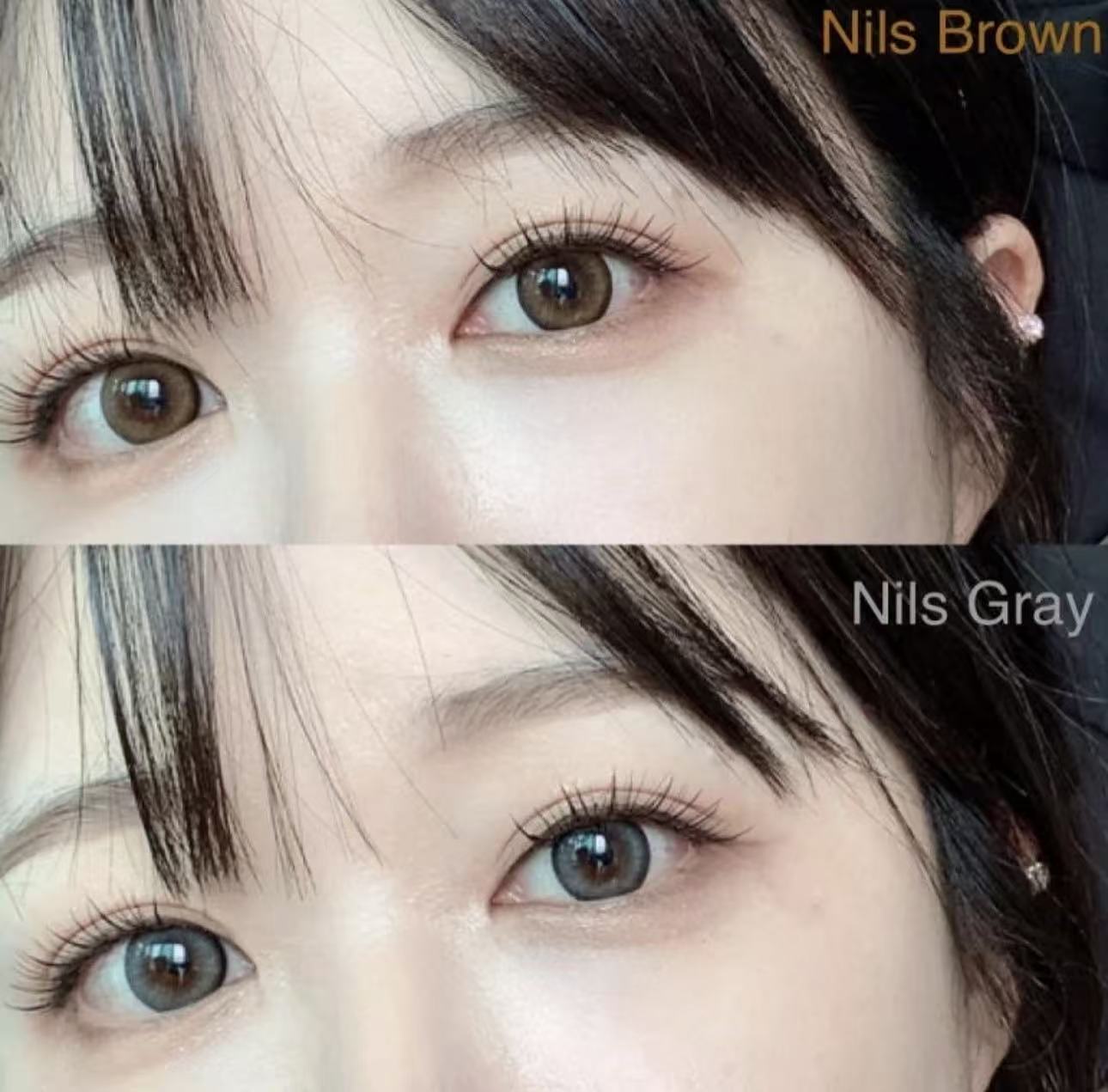 <2盒$318>｜韓國Olens Nils Brown日拋20片裝