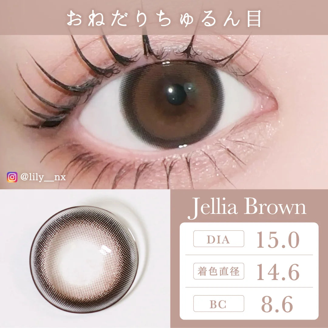 日本TeAmo Jellia Brown散光日拋10片裝